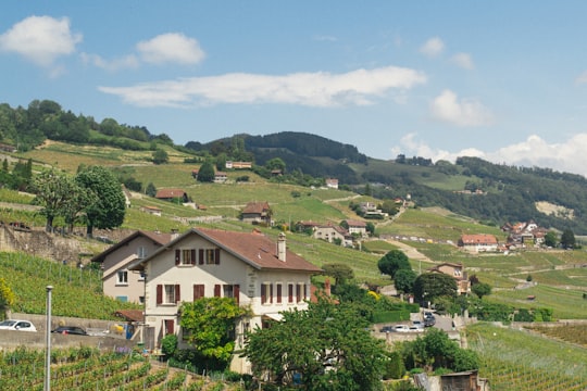 white and brown concrete house on green grass field during daytime in Lavaux Switzerland