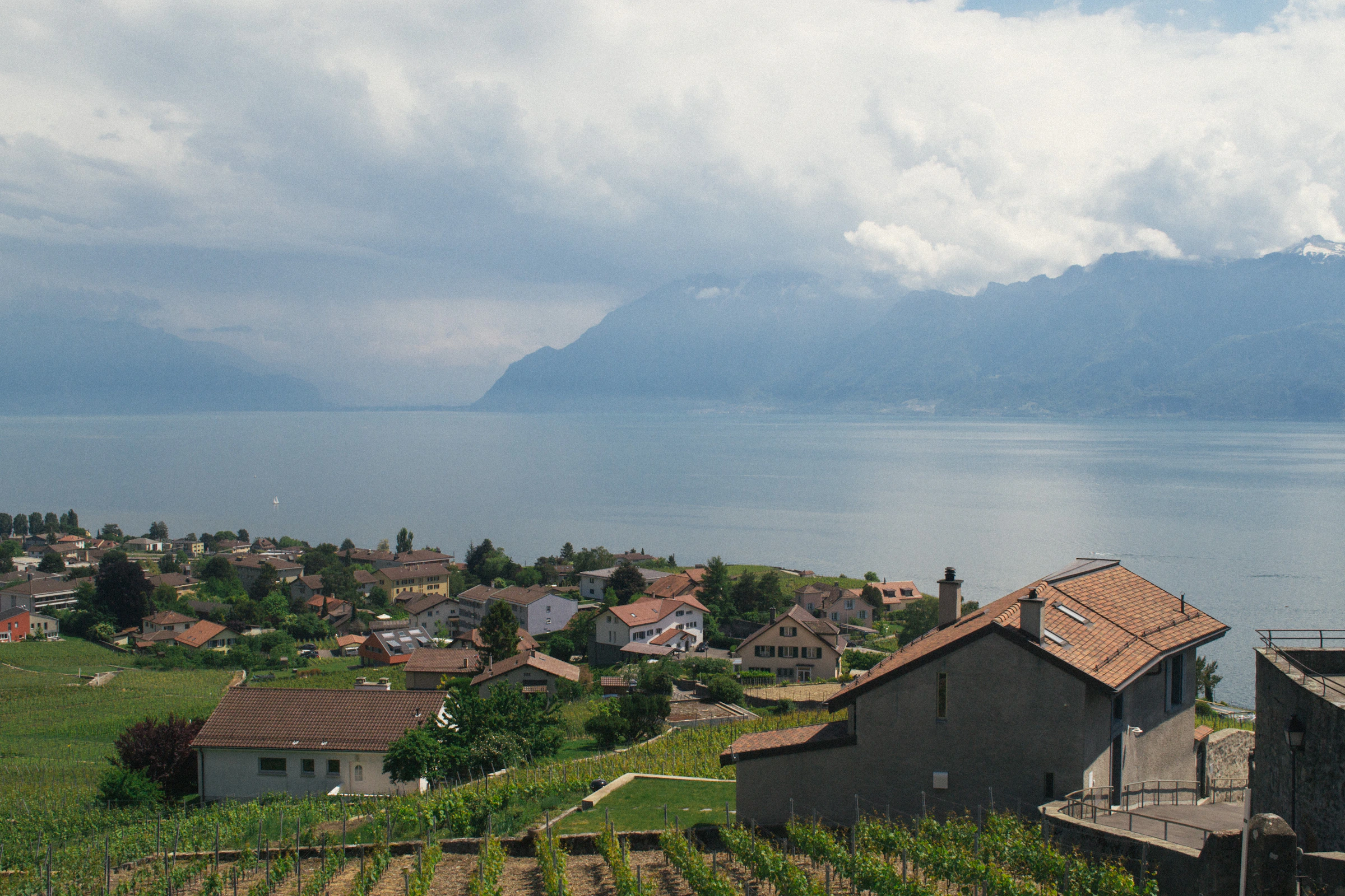 Lavaux, Lac Léman