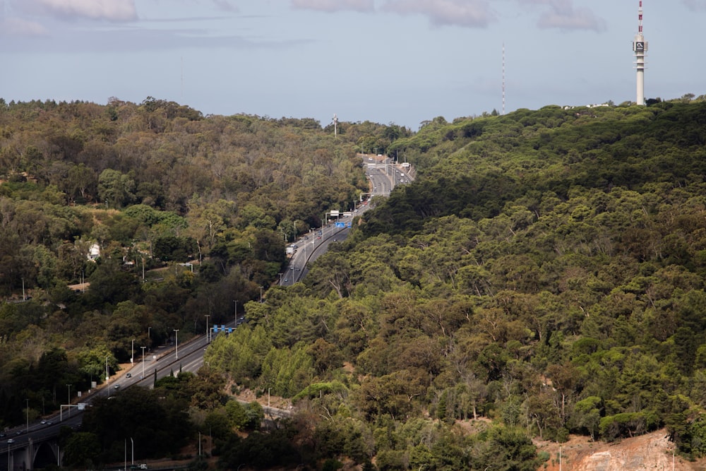 green trees on mountain during daytime