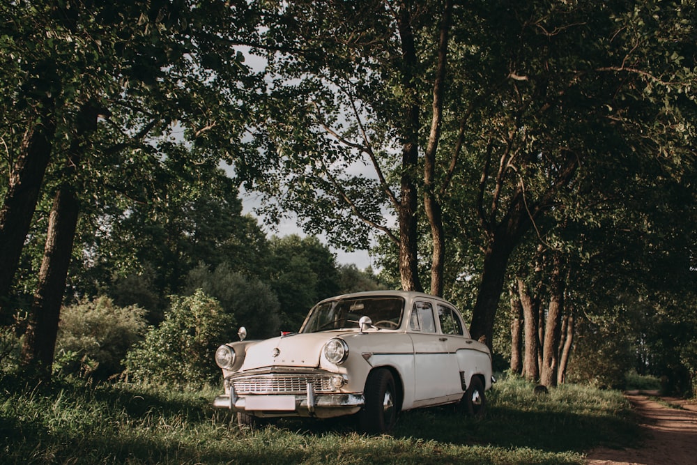 white vintage car parked on green grass field during daytime