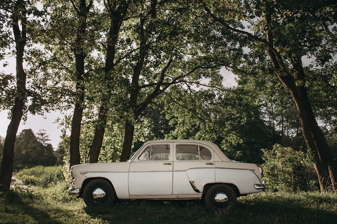 white vintage car parked on green grass field during daytime