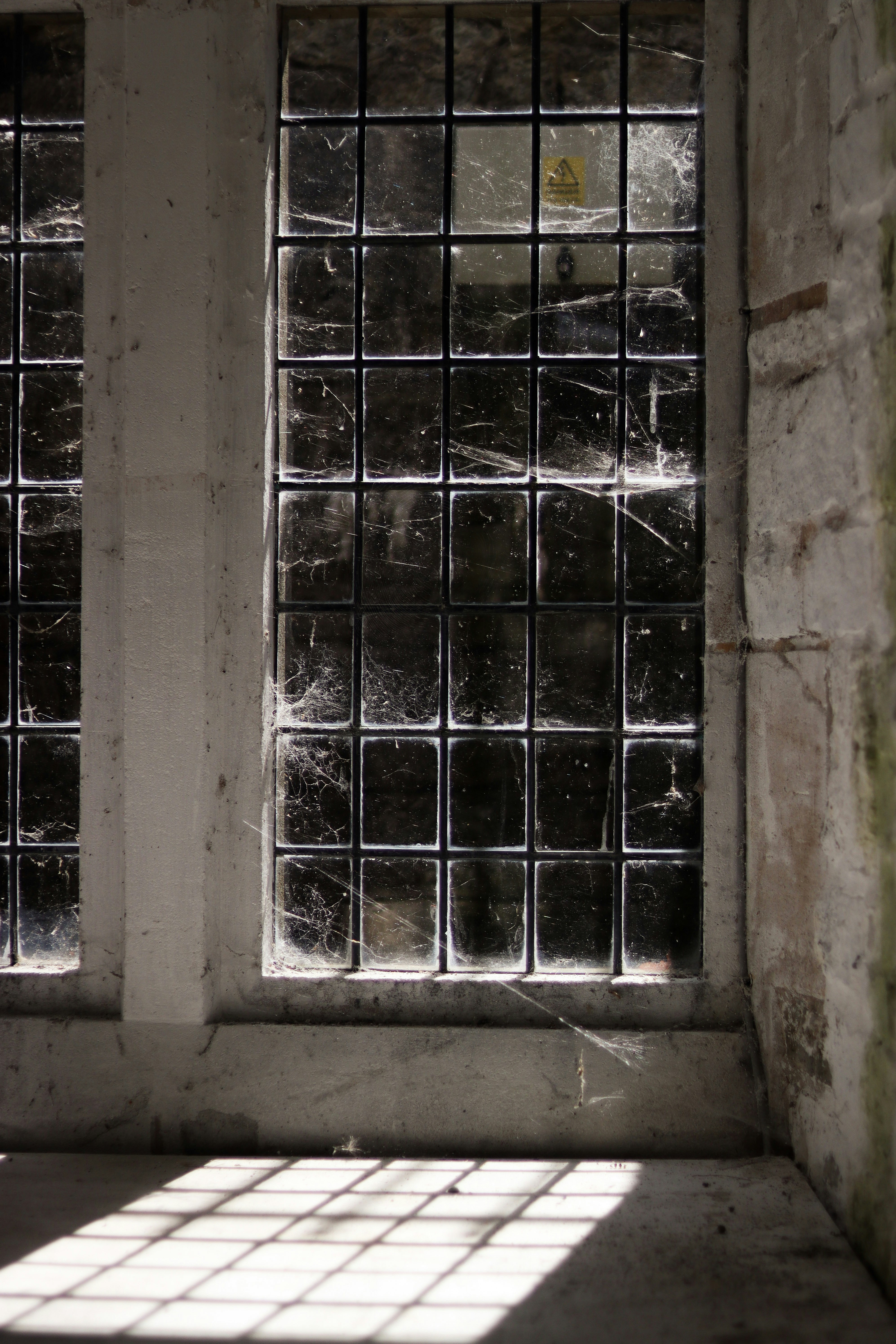 Photo by rach_henning