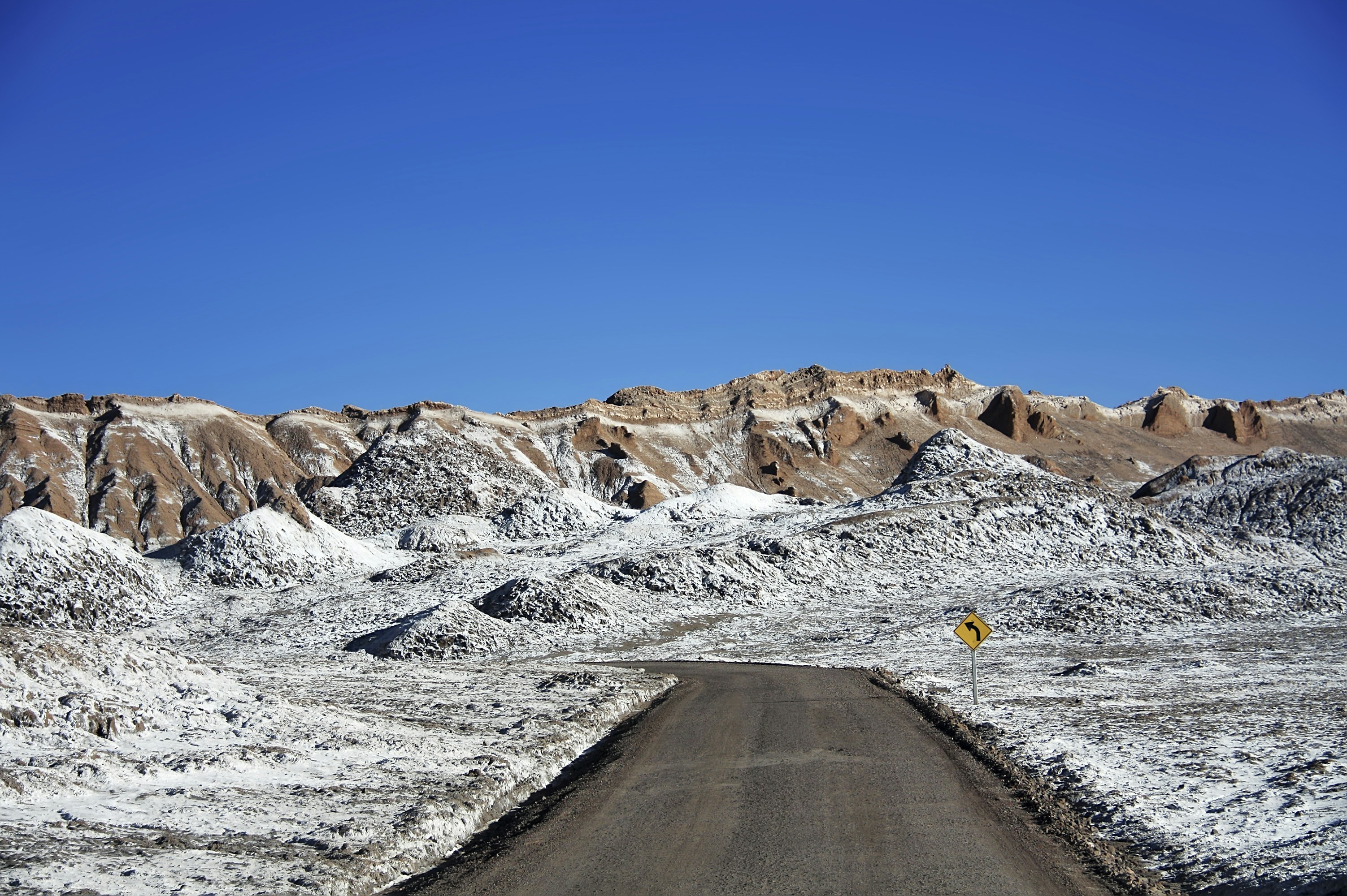 Photo by alinerosacgms