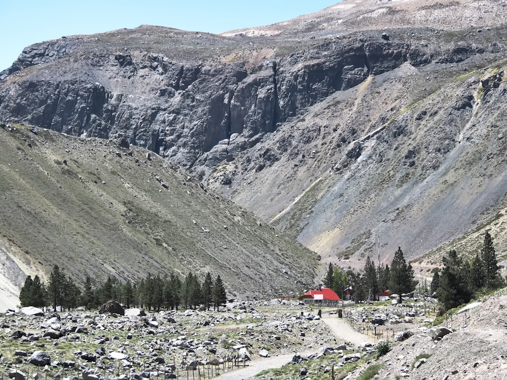 montagnes vertes et brunes pendant la journée