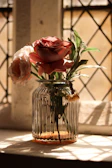 Sunlight filtering through a window onto a wooden table holding a delicate rose spray bottle beside blooming roses.