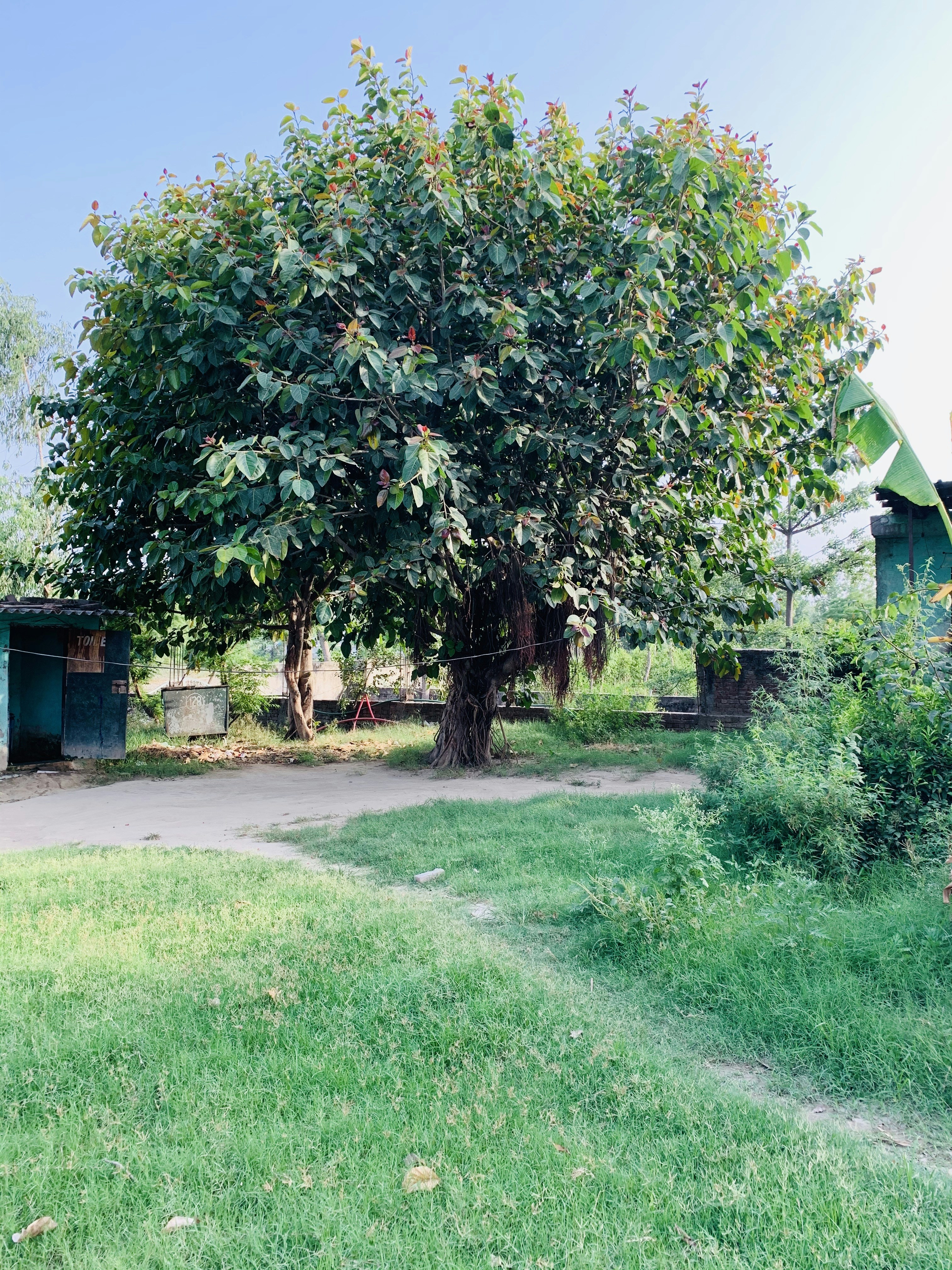 Photo by arjun_kapoor