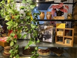 A display shelf with a variety of items including trailing green plants, potted red-leafed plants, decorative pots with designs resembling faces, a framed black and white photograph of a vintage car, boxed items in a wooden open-box frame, and a sign that reads 'CHÁ DE COLHER'. There are cakes on the lower shelf, one layered and another topped with berries.