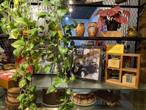 A display shelf with a variety of items including trailing green plants, potted red-leafed plants, decorative pots with designs resembling faces, a framed black and white photograph of a vintage car, boxed items in a wooden open-box frame, and a sign that reads 'CH&Aacute; DE COLHER'. There are cakes on the lower shelf, one layered and another topped with berries.