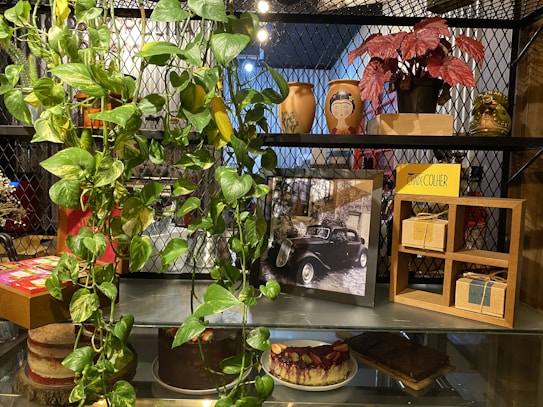 A display shelf with a variety of items including trailing green plants, potted red-leafed plants, decorative pots with designs resembling faces, a framed black and white photograph of a vintage car, boxed items in a wooden open-box frame, and a sign that reads 'CH&Aacute; DE COLHER'. There are cakes on the lower shelf, one layered and another topped with berries.