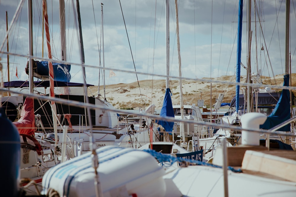 white and red sail boat on beach during daytime