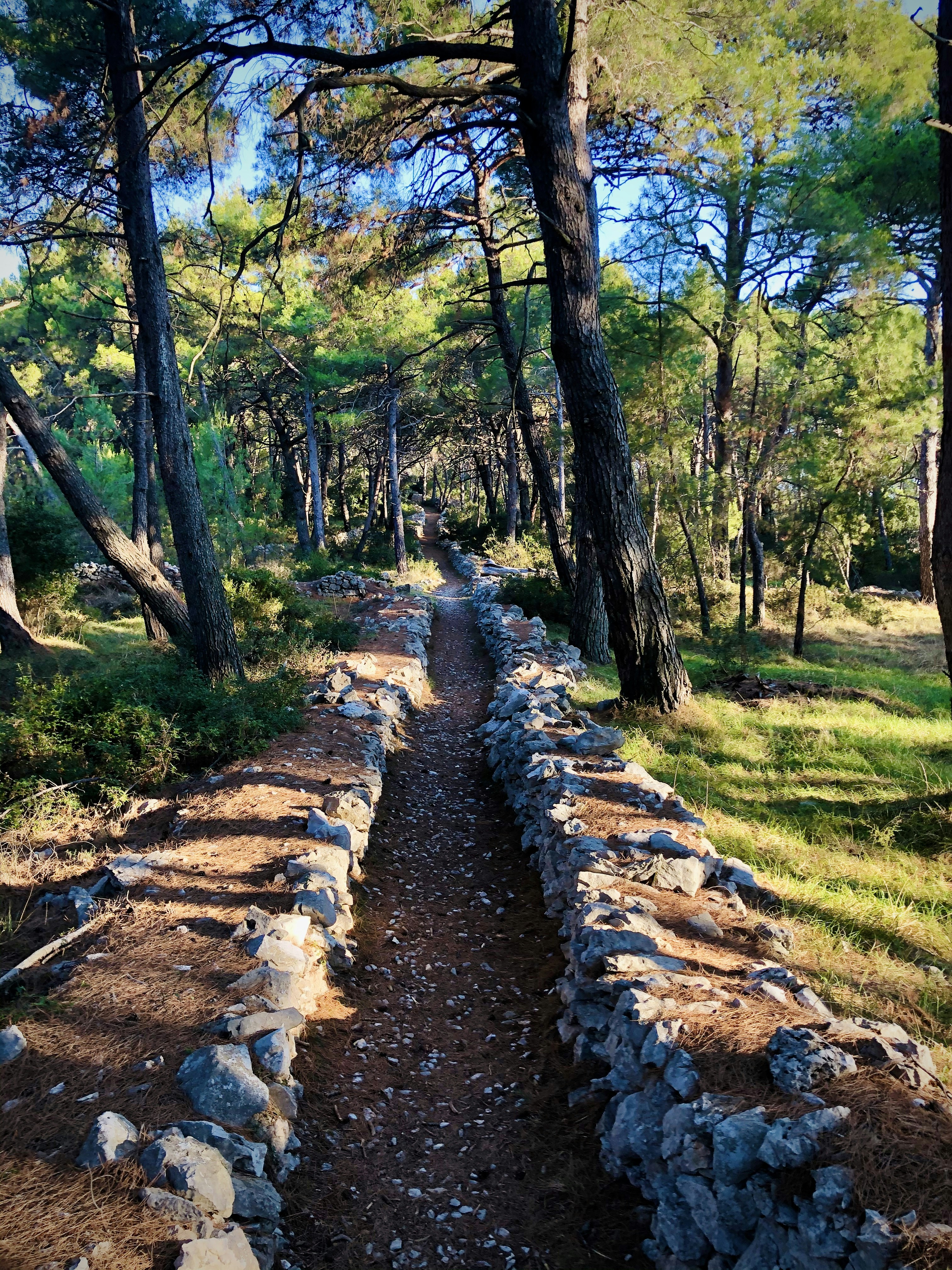 Photo by arnosenoner