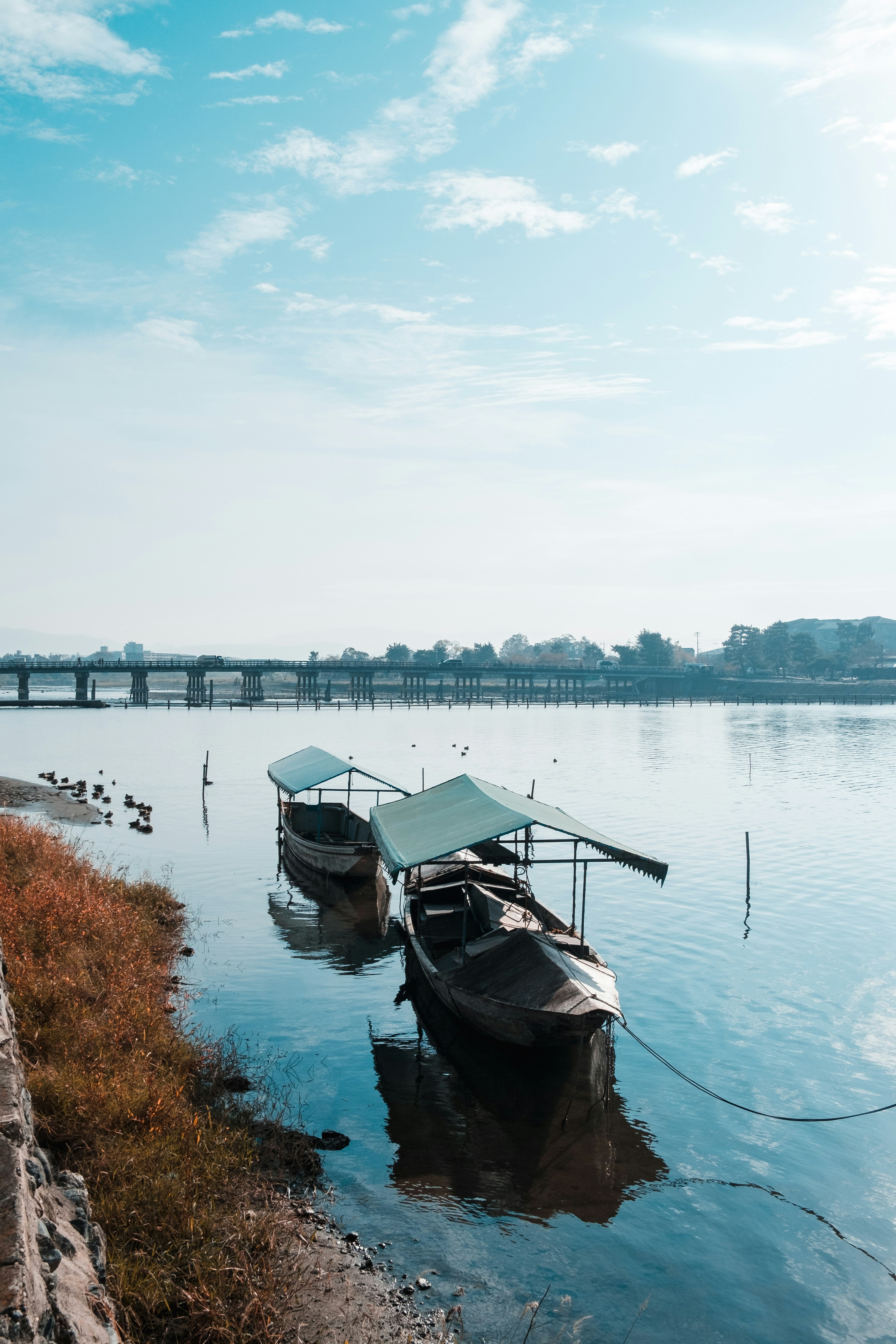 Photo by theadamdillon