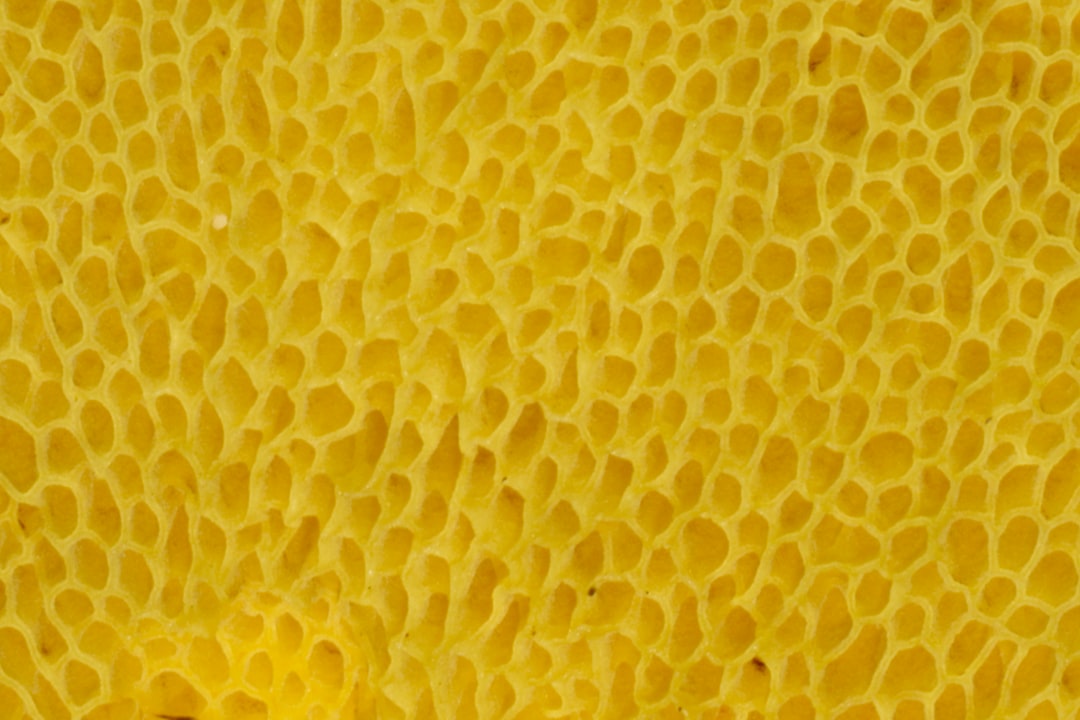 yellow and white polka dot textile