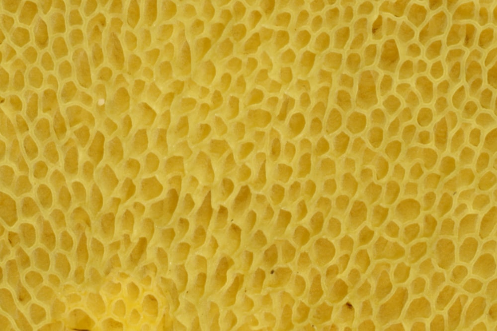 yellow and white polka dot textile
