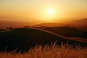 Rolling hills covered in golden grass at sunset, highlighting natural beauty