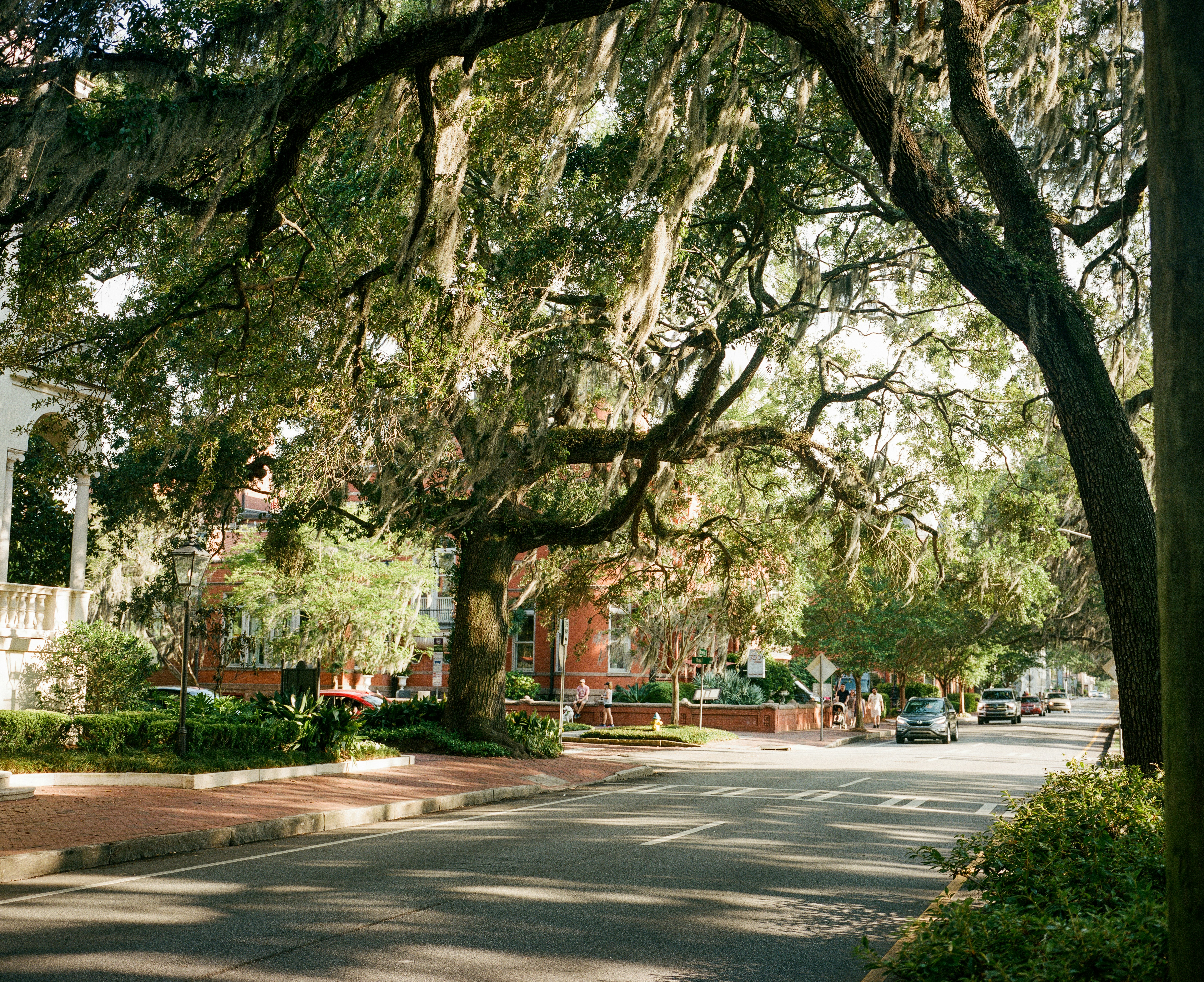 Photo by theadamdillon