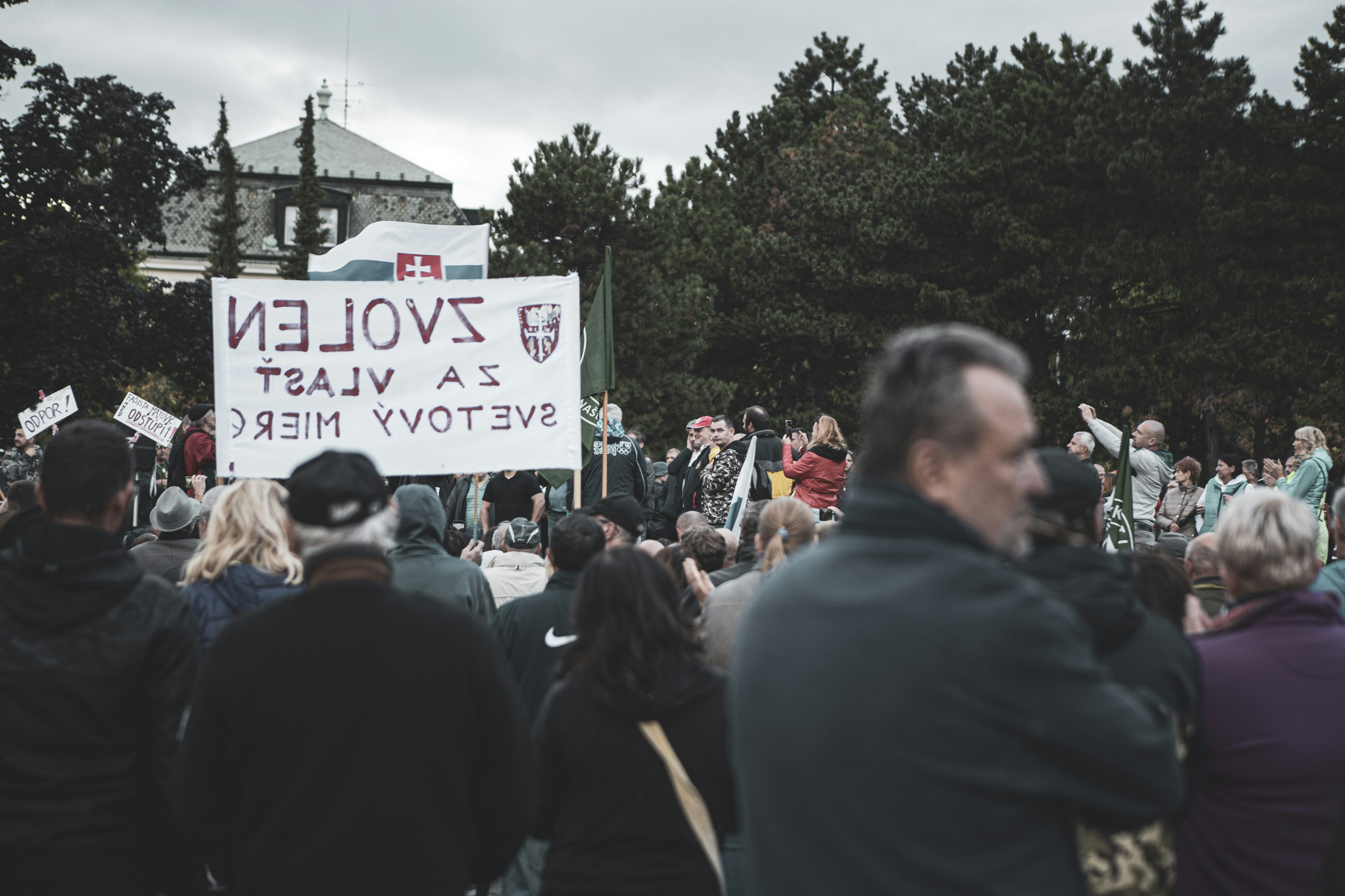 people gathering near green trees during daytime