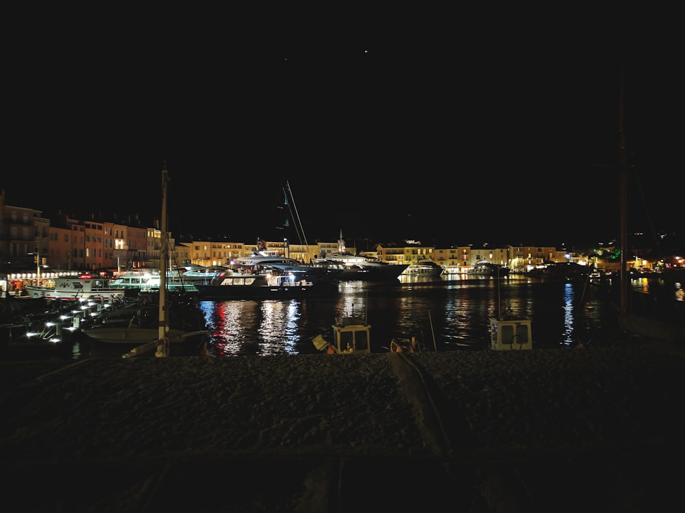 white and blue boat on dock during night time