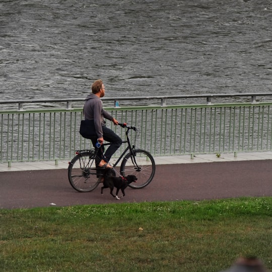 man in brown jacket riding on black bicycle on green grass field near body of water in An der Elbe Germany