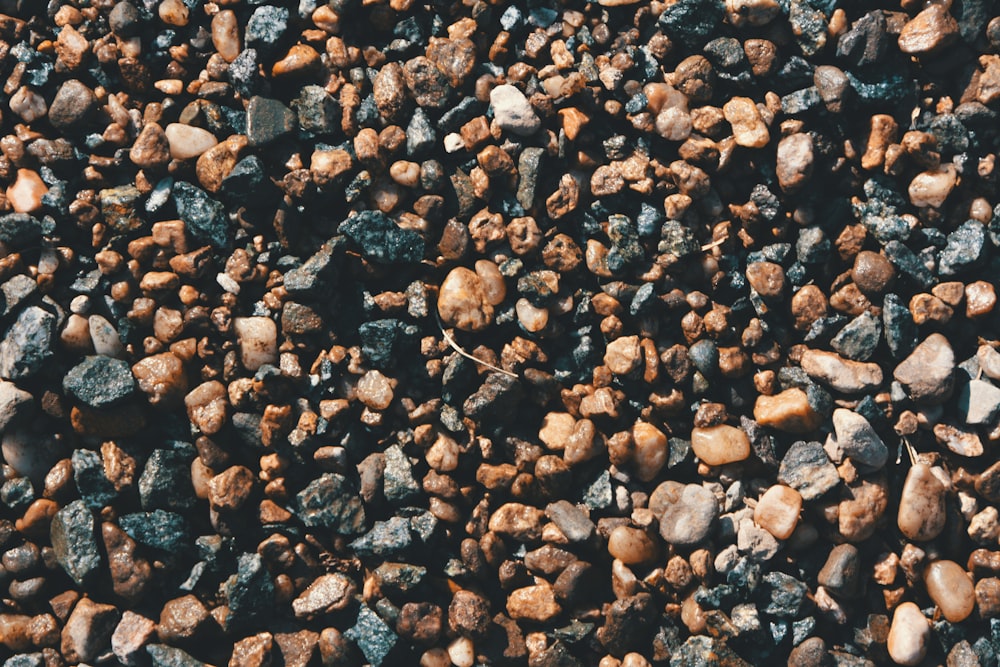 brown and black stones on ground