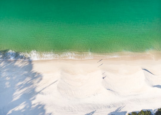 green and white ocean water in Shoal Bay NSW Australia