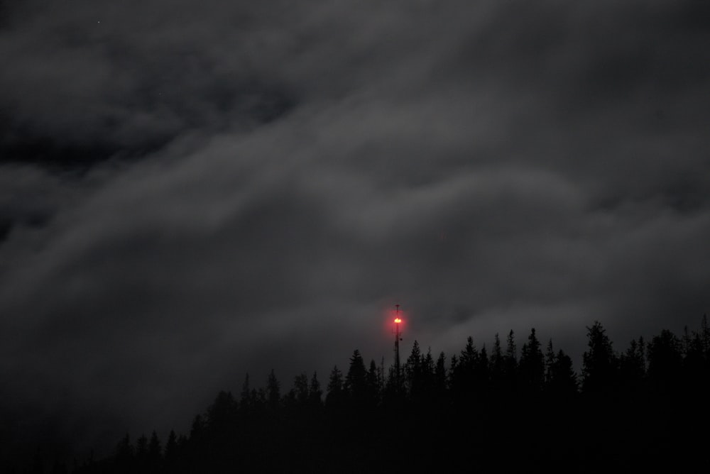 silueta de árboles bajo nubes grises