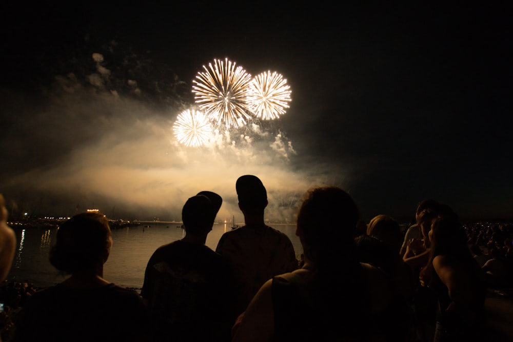 silhouette of people watching fireworks during night time