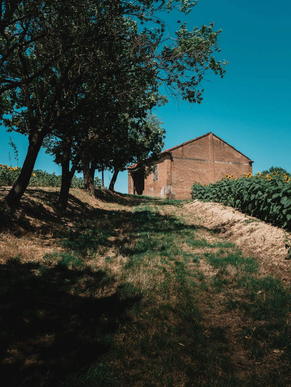 brown brick house near green trees under blue sky during daytime