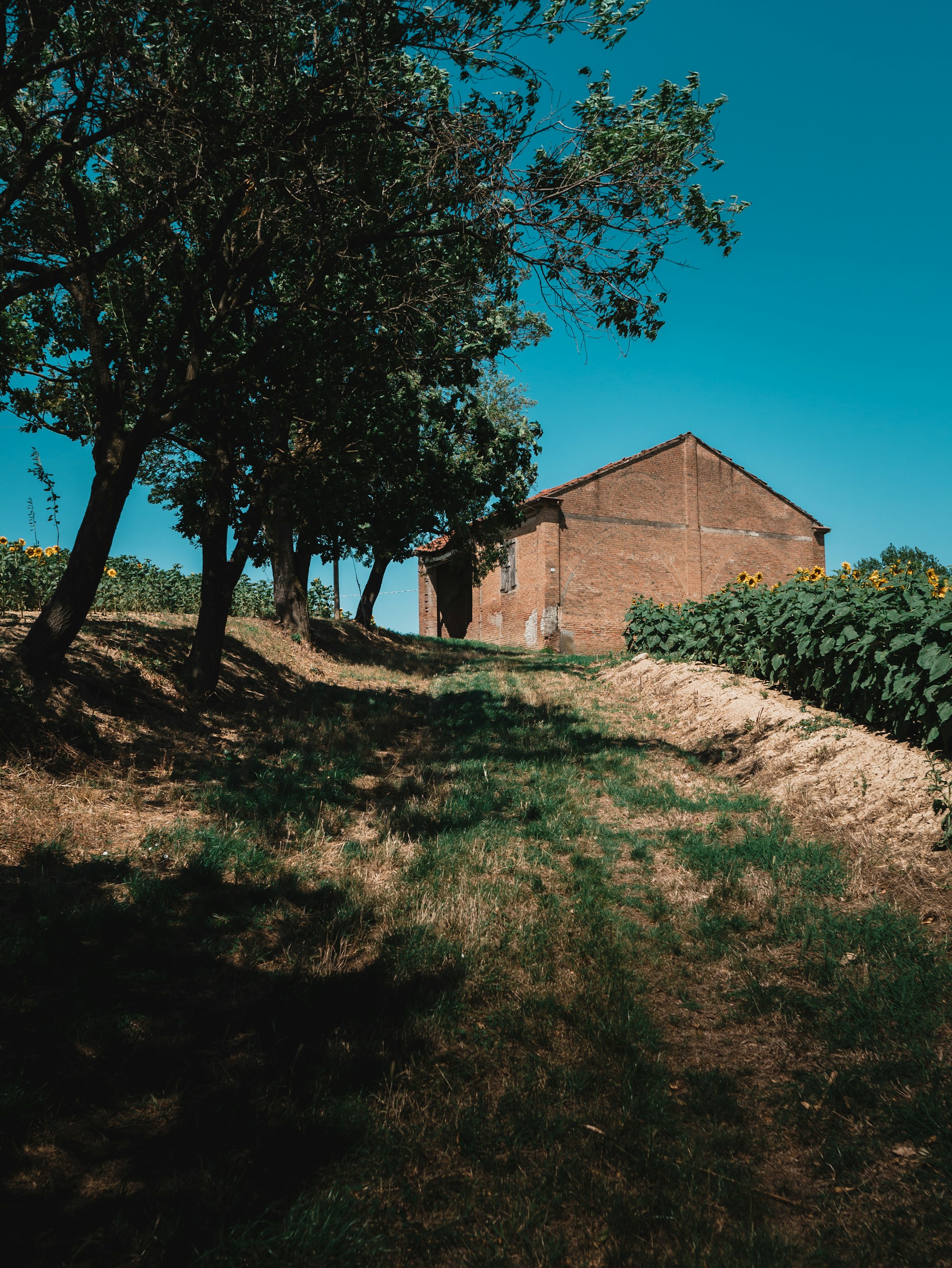 Tortona: Exploring Local Culture & Traditions