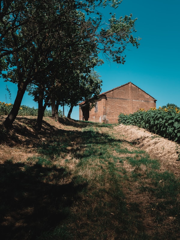 Tortona: Exploring Local Culture & Traditions