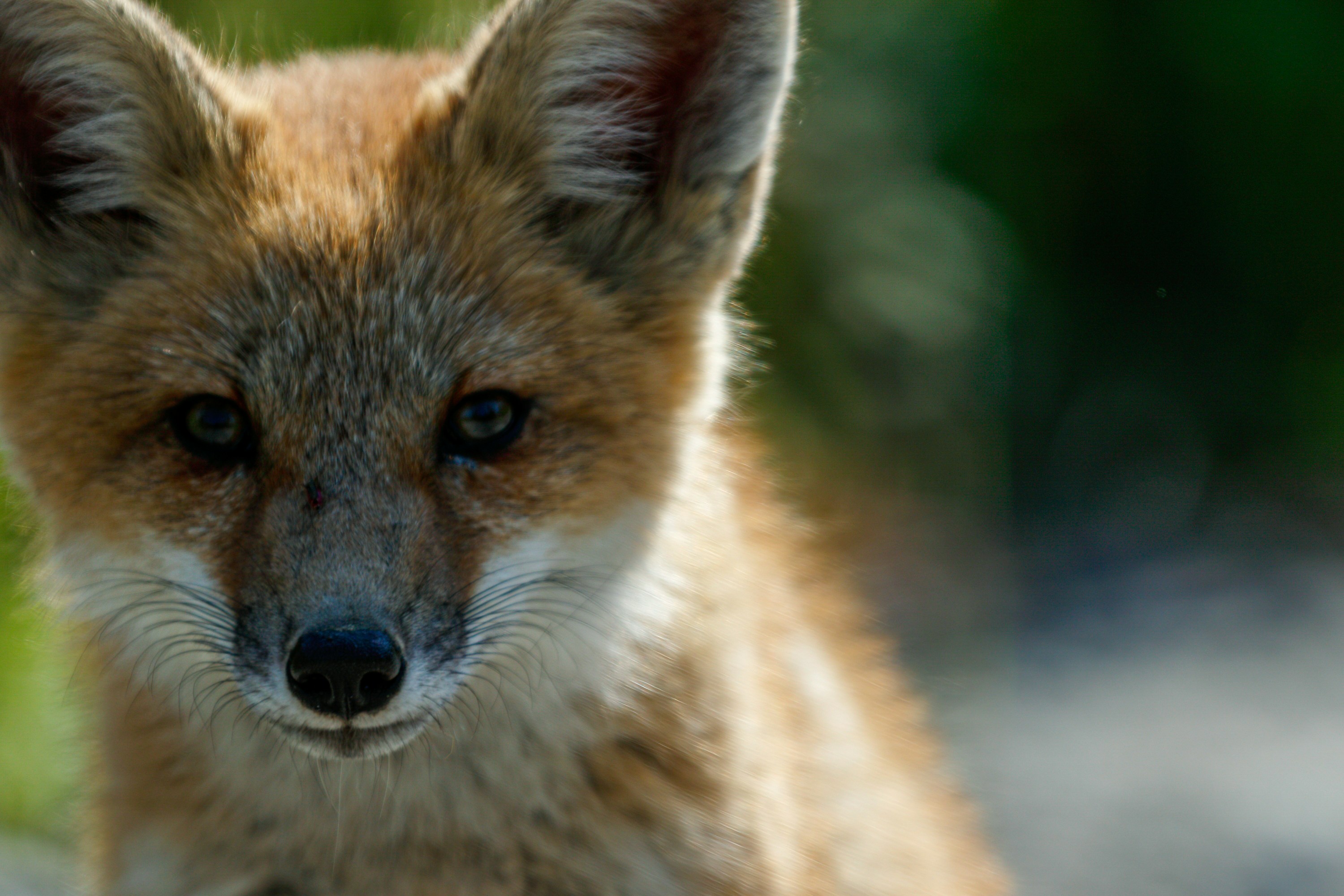 Photo by camerauthor