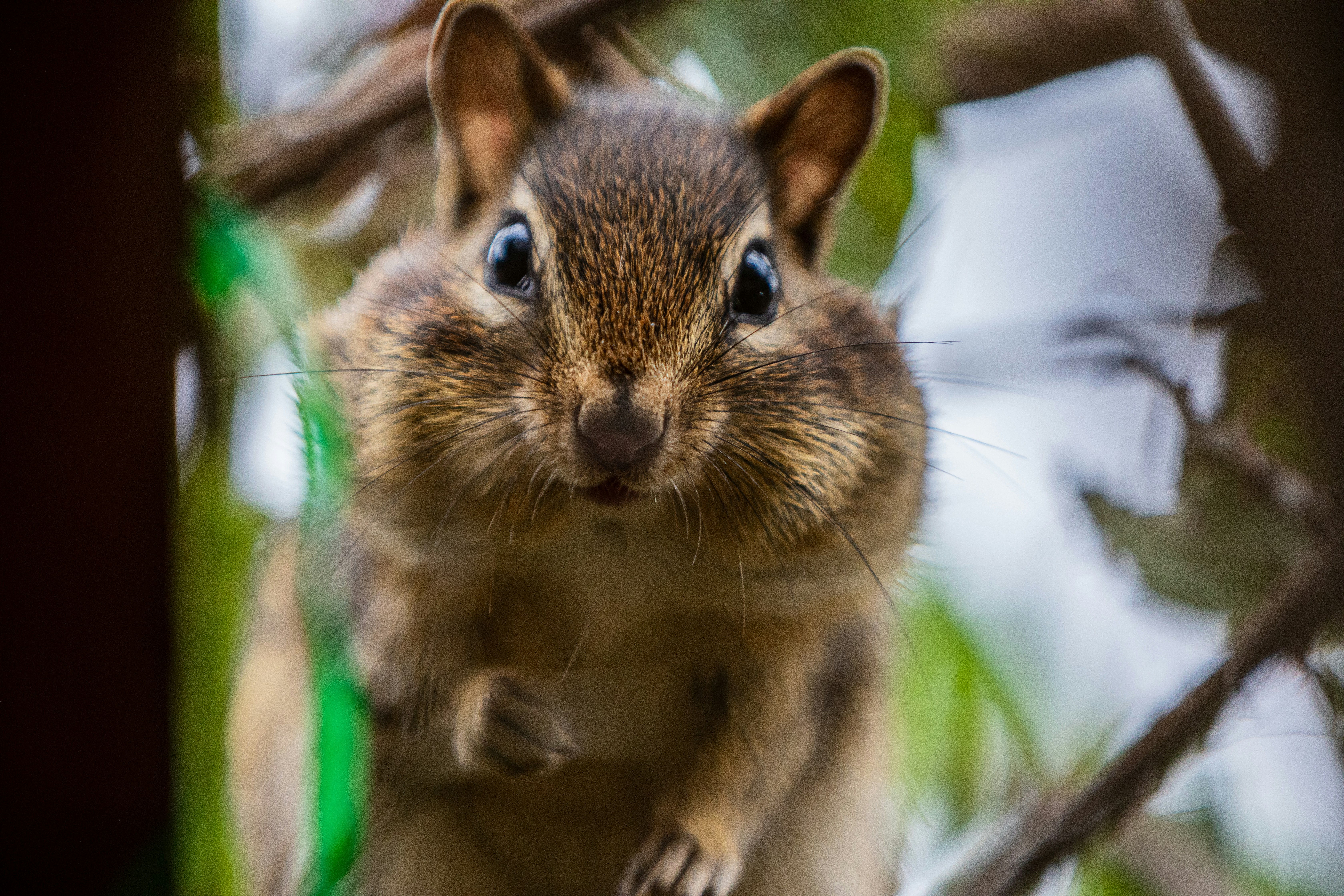 Photo by camerauthor