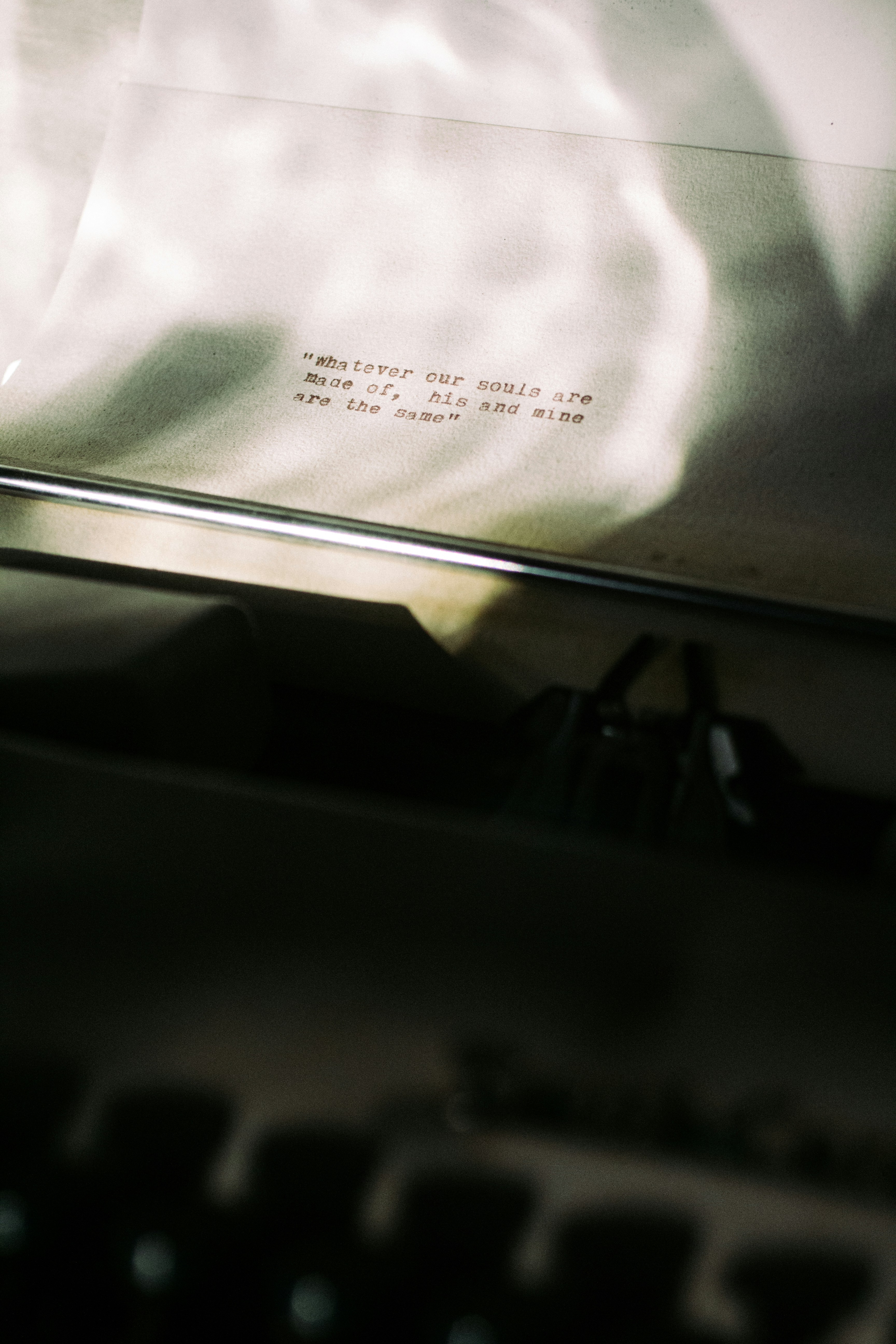 photo-1599010385962-e2c67aaae1b7?ixid=M3