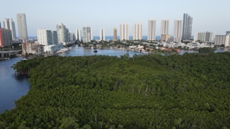 Aerial view of a lush green forest surrounding modern office buildings, symbolizing investment in nature and technology.