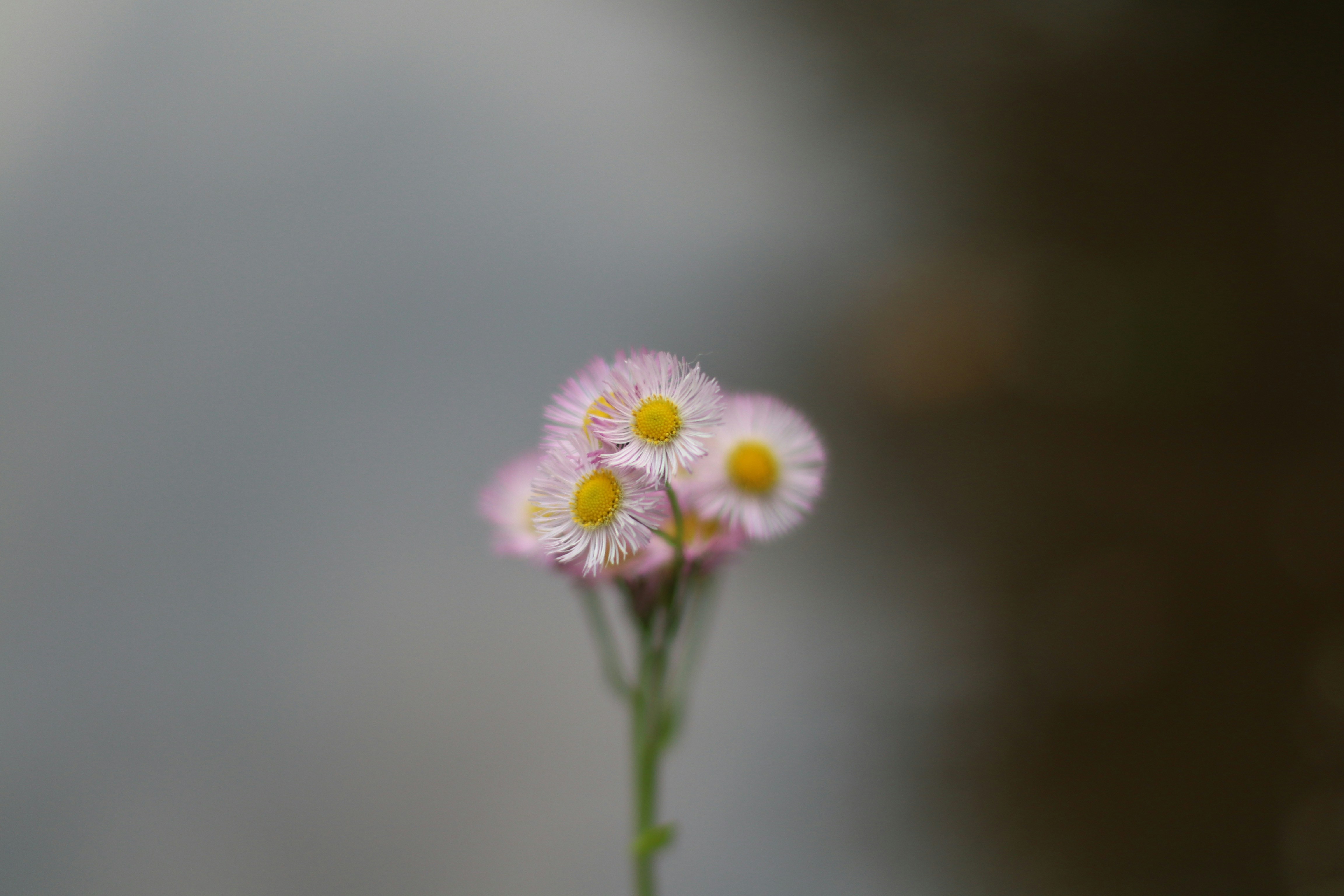 Photo by stokedspokes