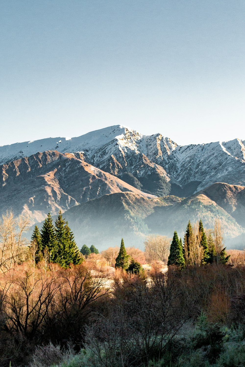 green trees near mountain during daytime