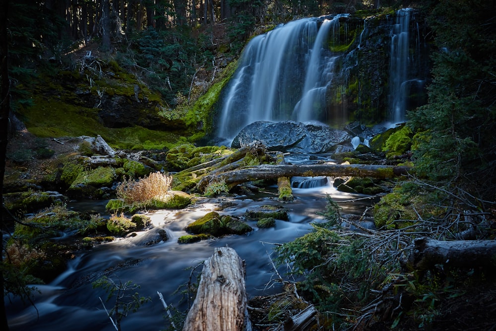 water falls on brown and green grass