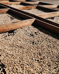 a row of wooden boats sitting on top of a pile of gravel