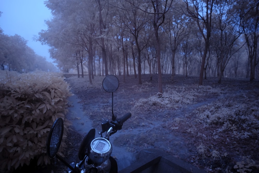 black motorcycle near brown trees during daytime