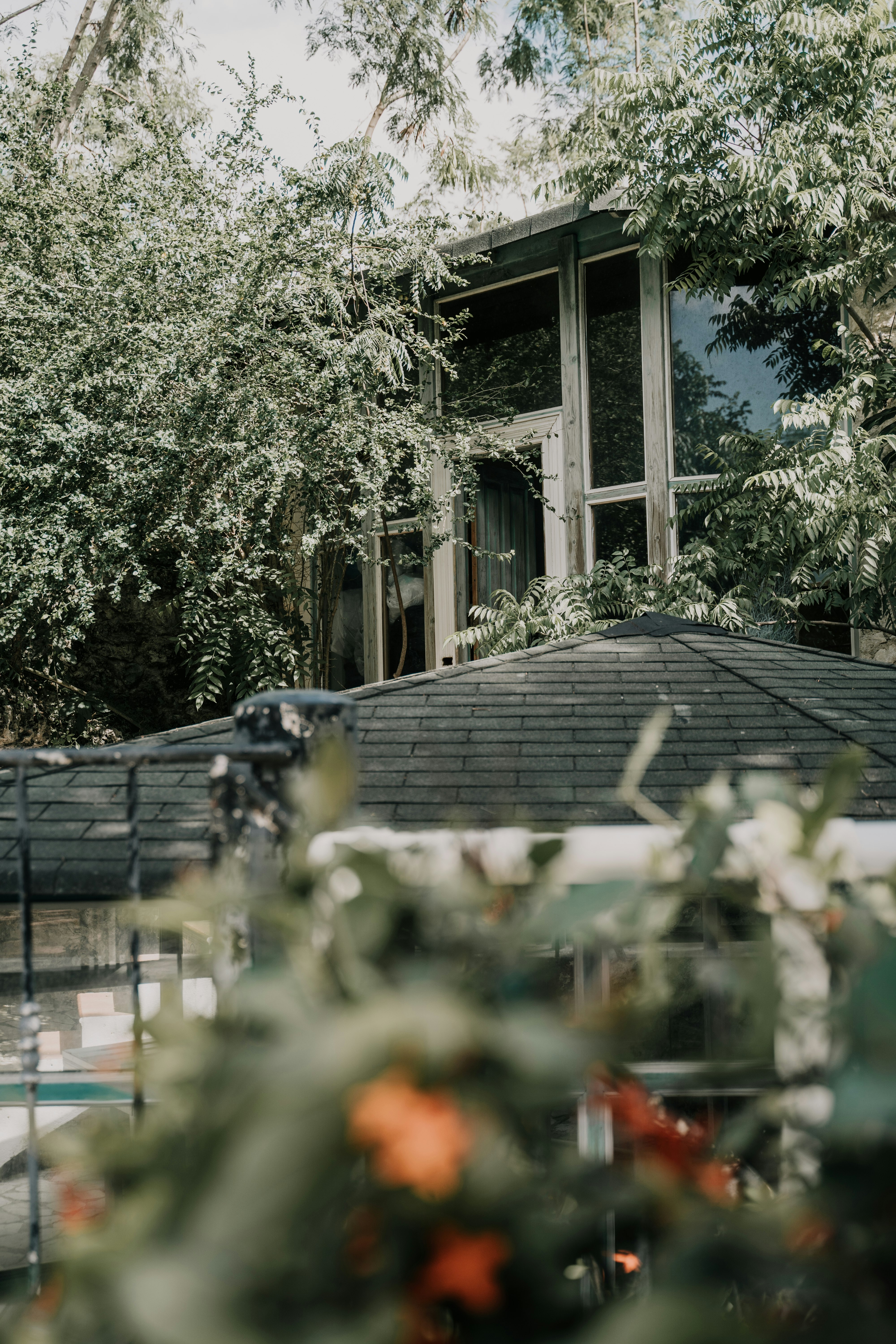 black wooden house near green trees during daytime