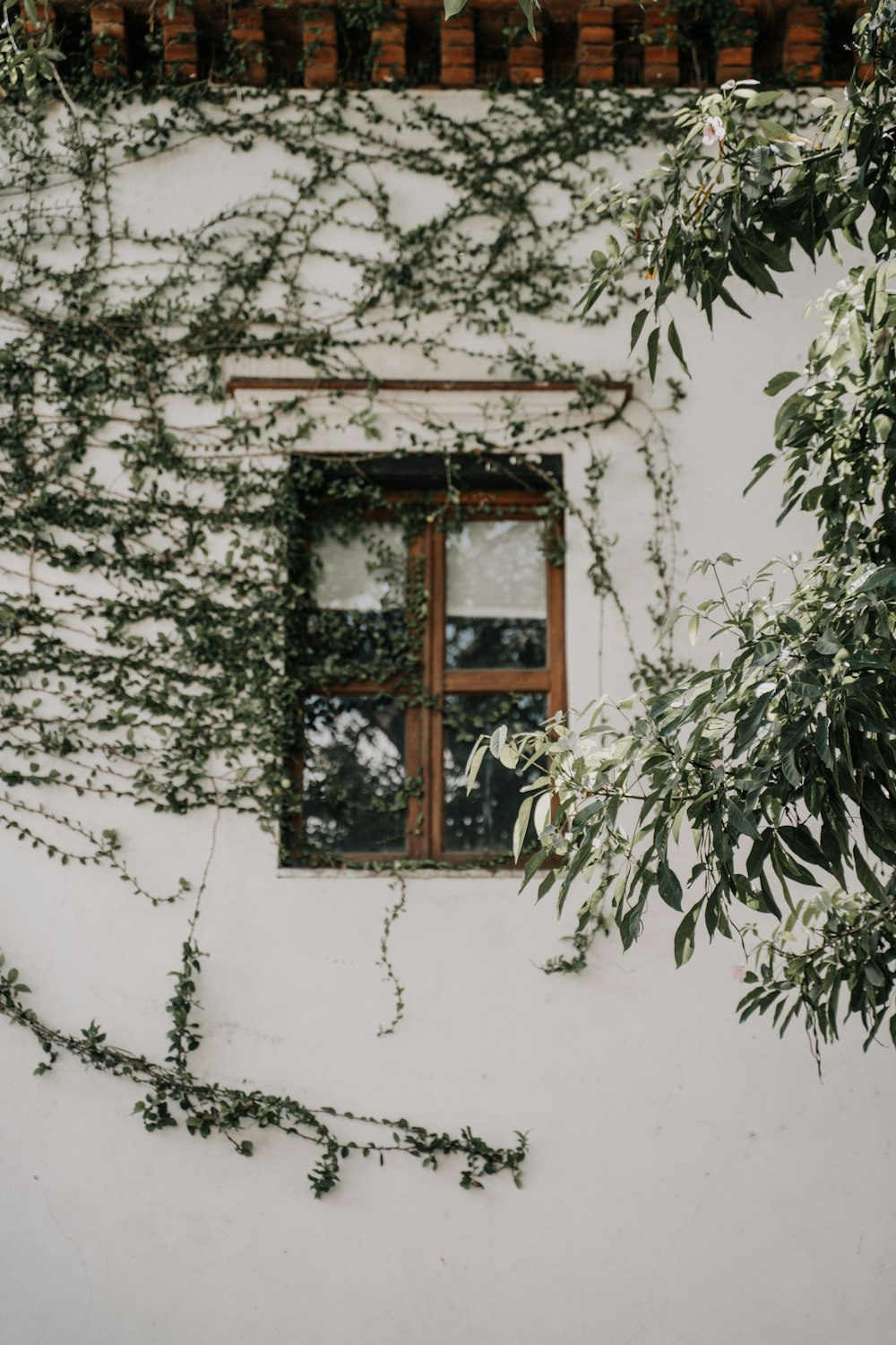 brown wooden framed glass window on white concrete wall