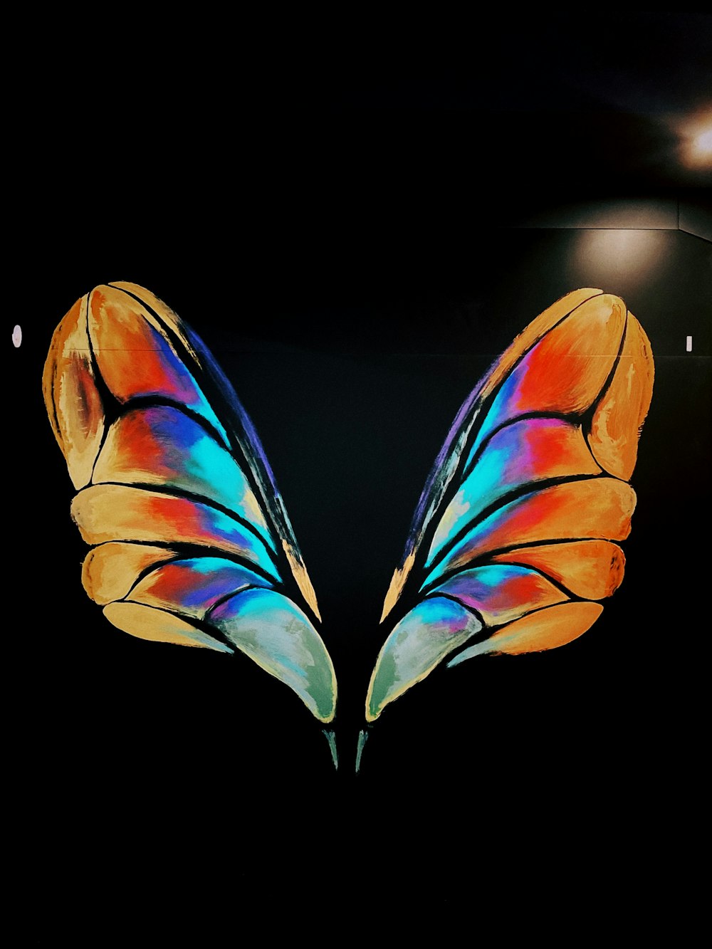 orange and blue butterfly wings