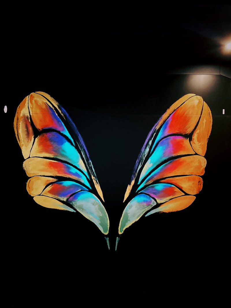 Butterfly Wings