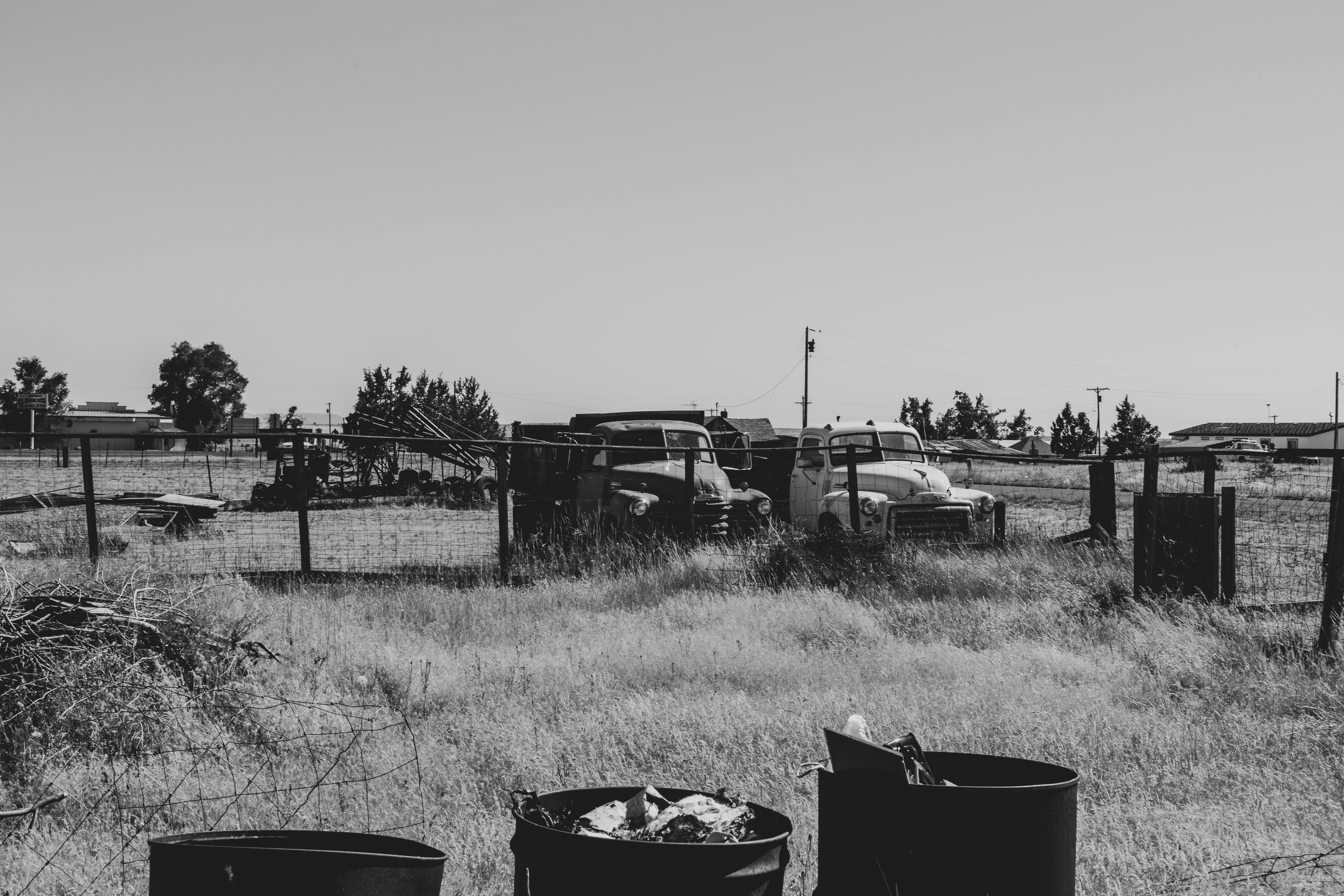 grayscale photo of houses and trees