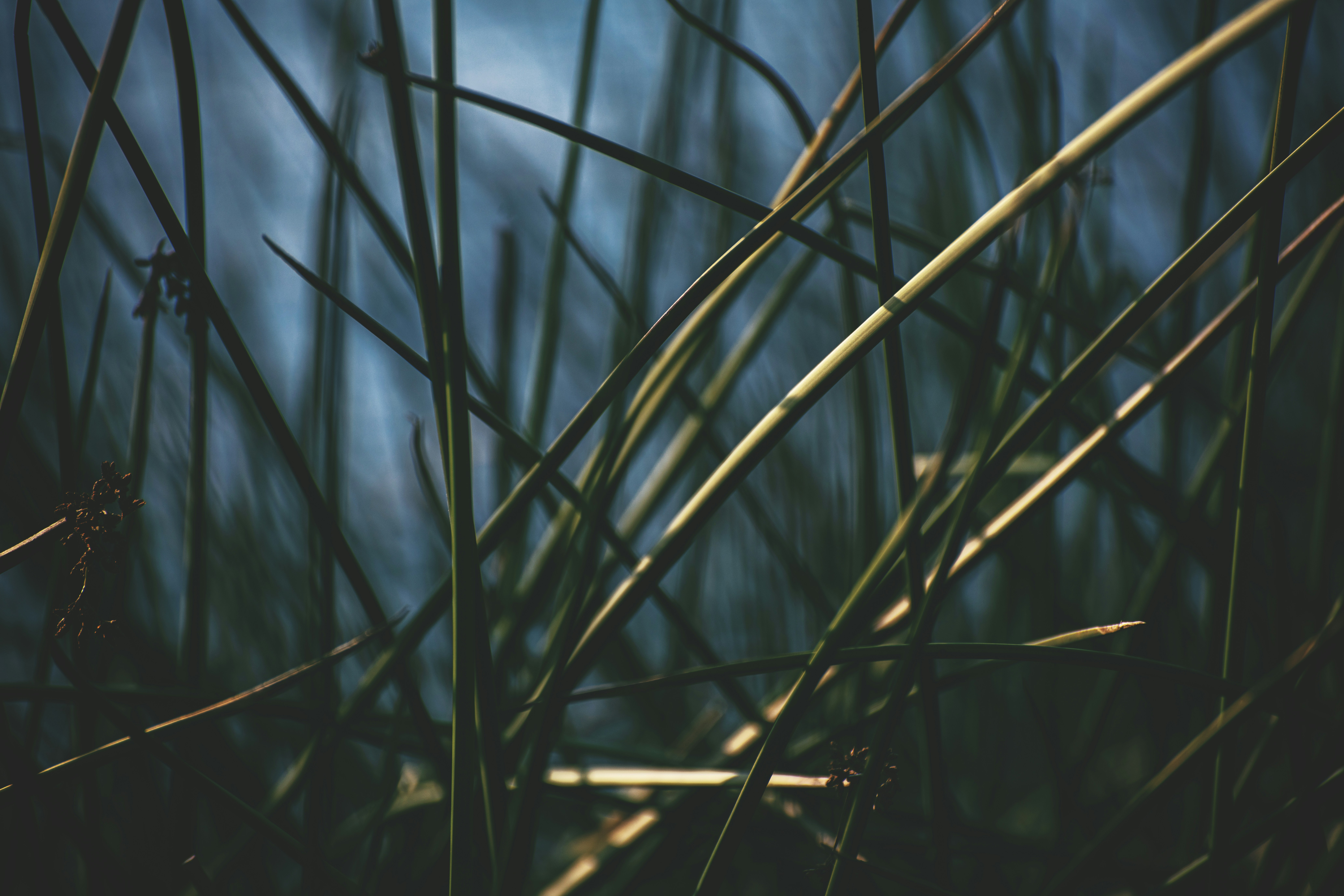 Photo by timmossholder