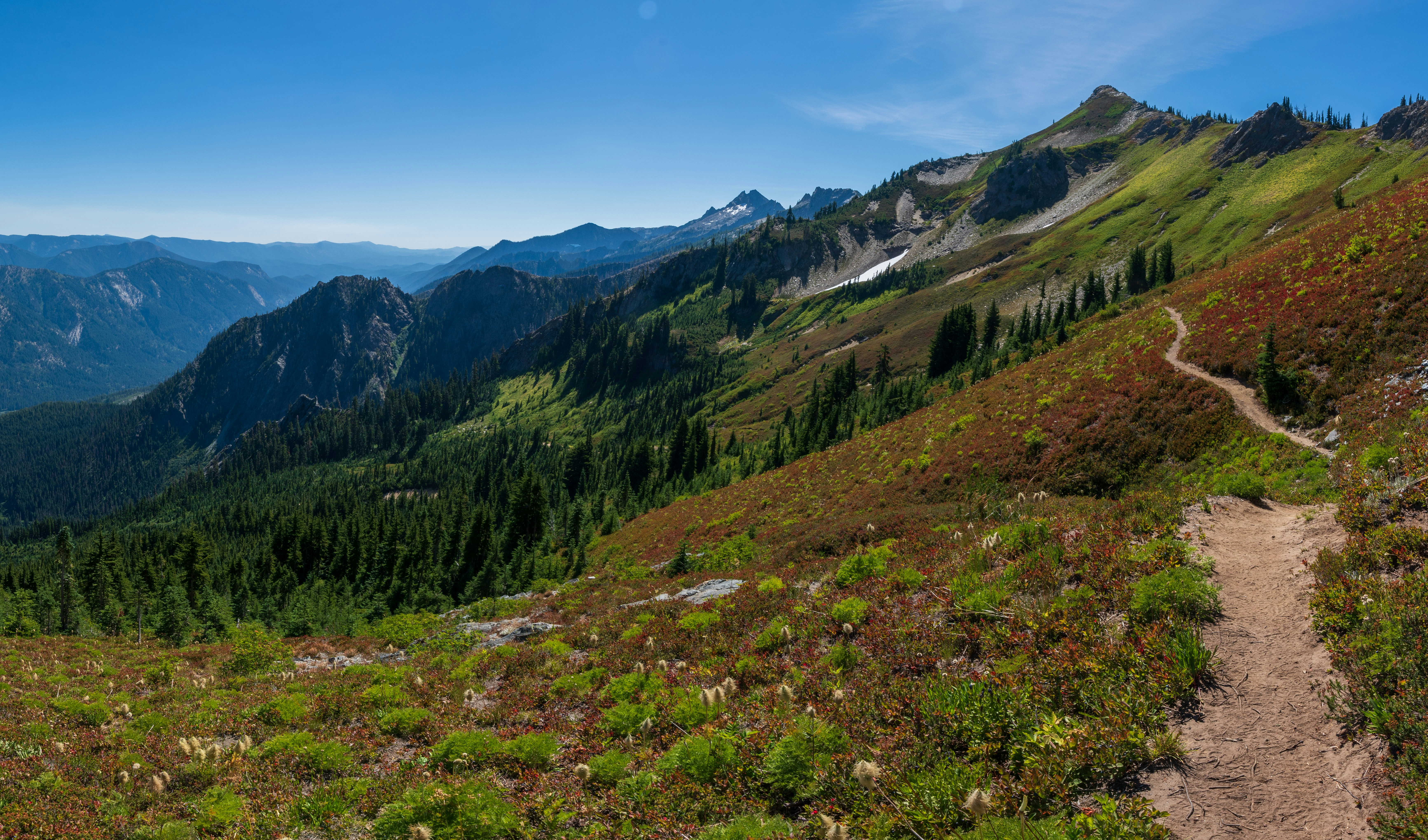 Photo by erikringsmuth