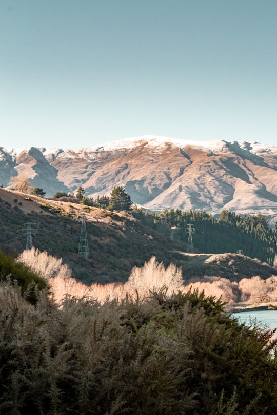 green trees on brown mountain during daytime in Arrowtown New Zealand