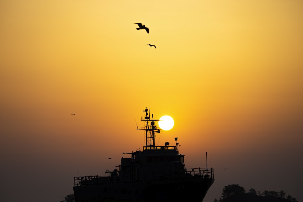 silhouette of bird flying over the ship during sunset