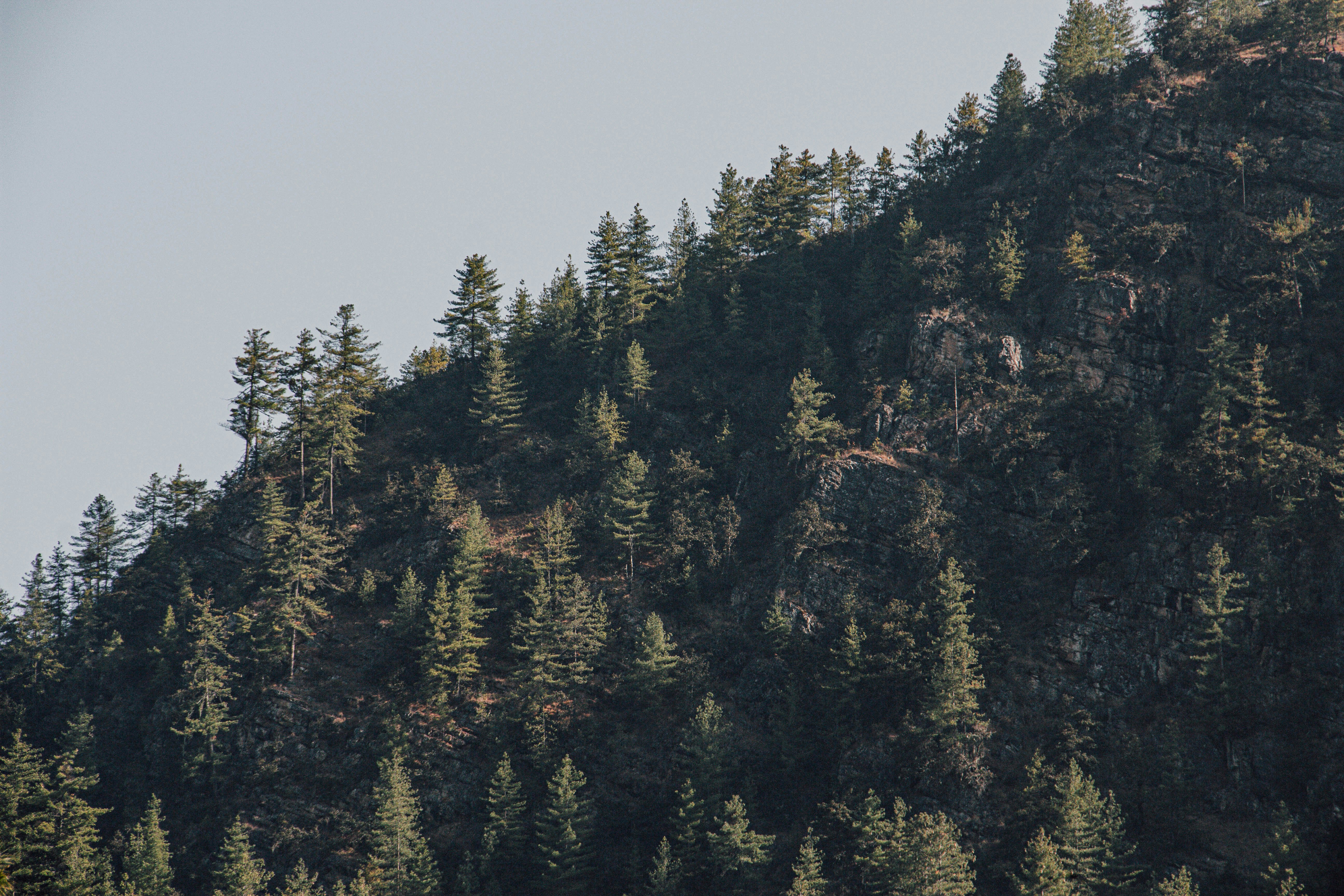 Photo by aaron_santelices