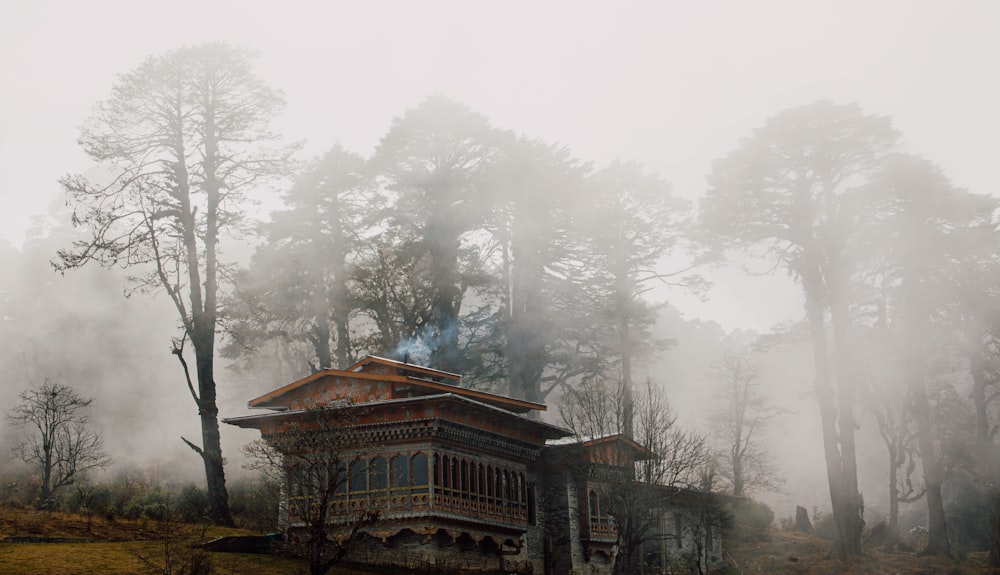 brown wooden house surrounded by trees during daytime